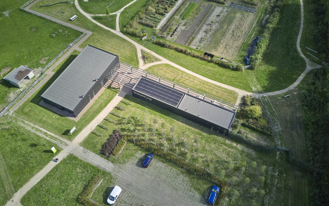 De groene long Bladel