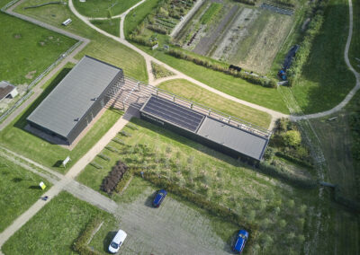 De groene long Bladel